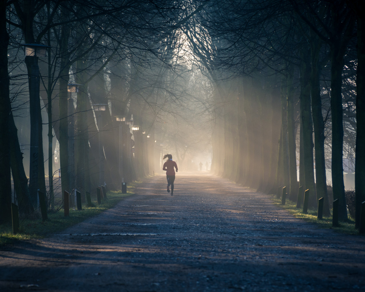 Running Near Street Between Tall Trees