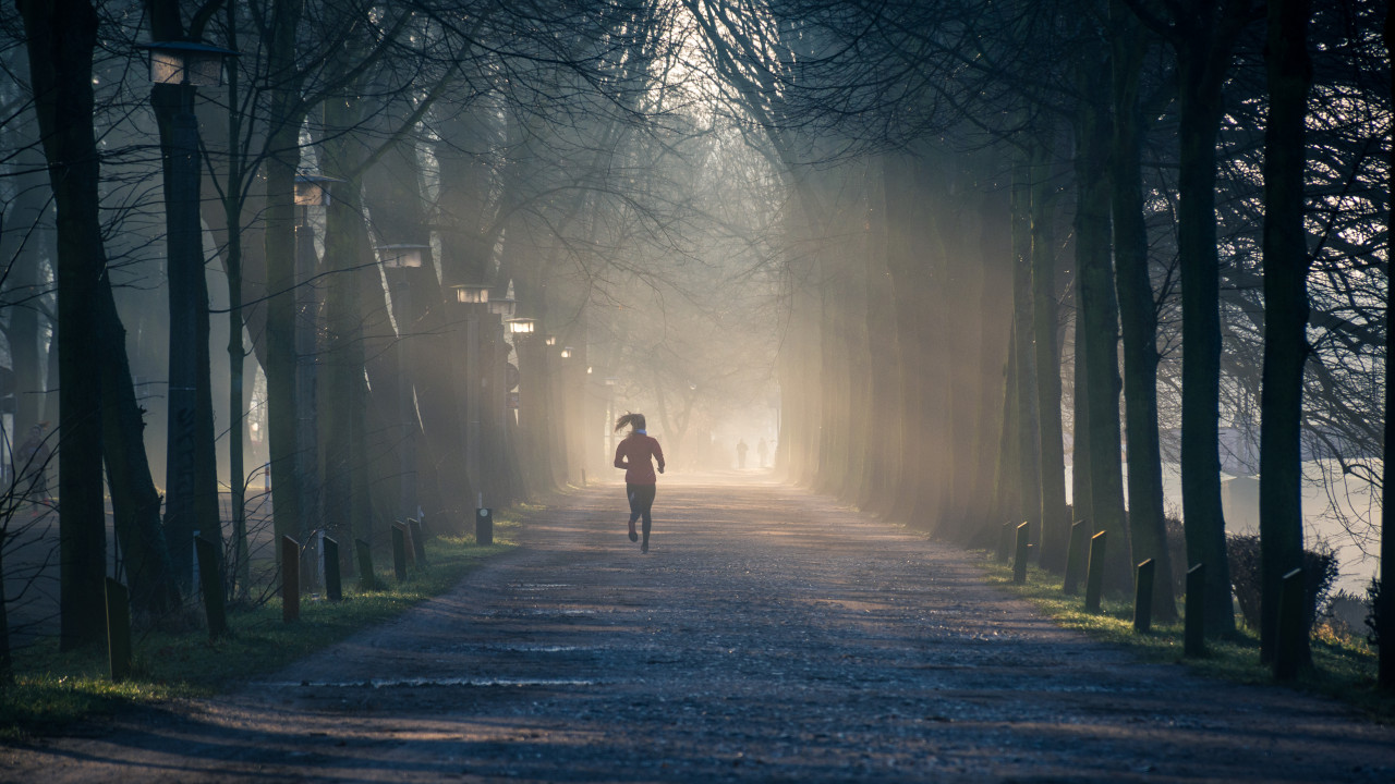 Running Near Street Between Tall Trees