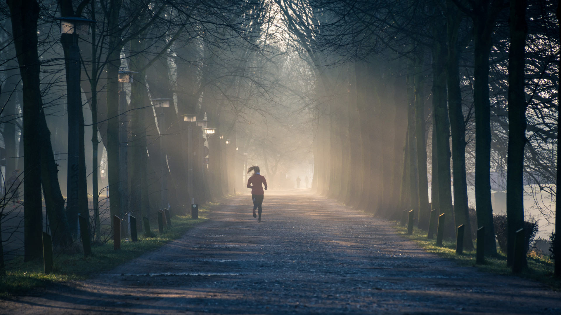 Running Near Street Between Tall Trees