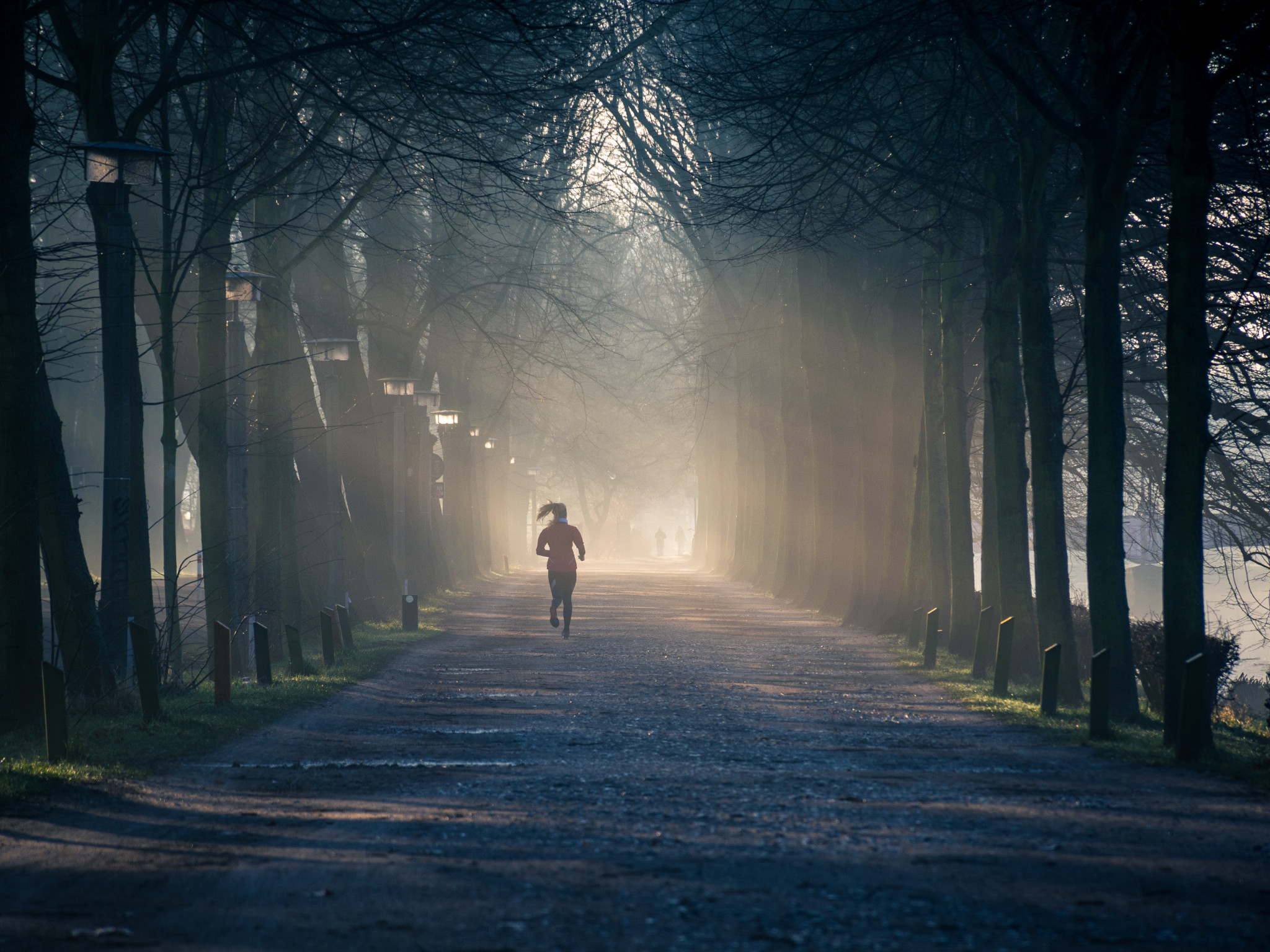 Running Near Street Between Tall Trees