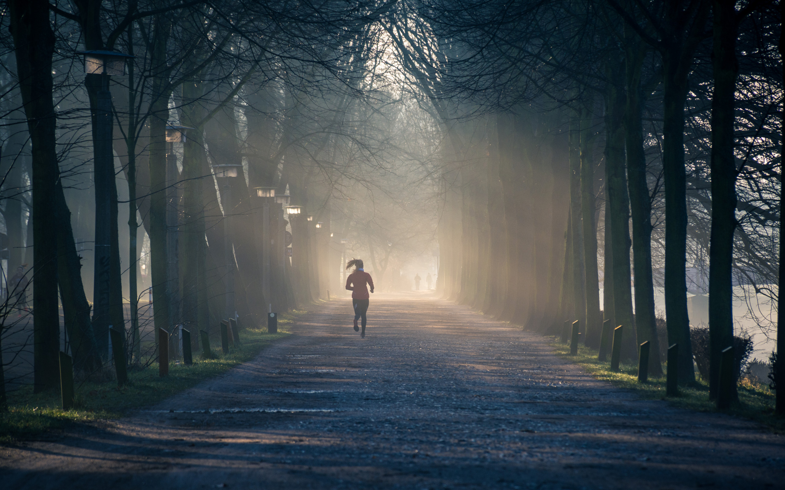 Running Near Street Between Tall Trees