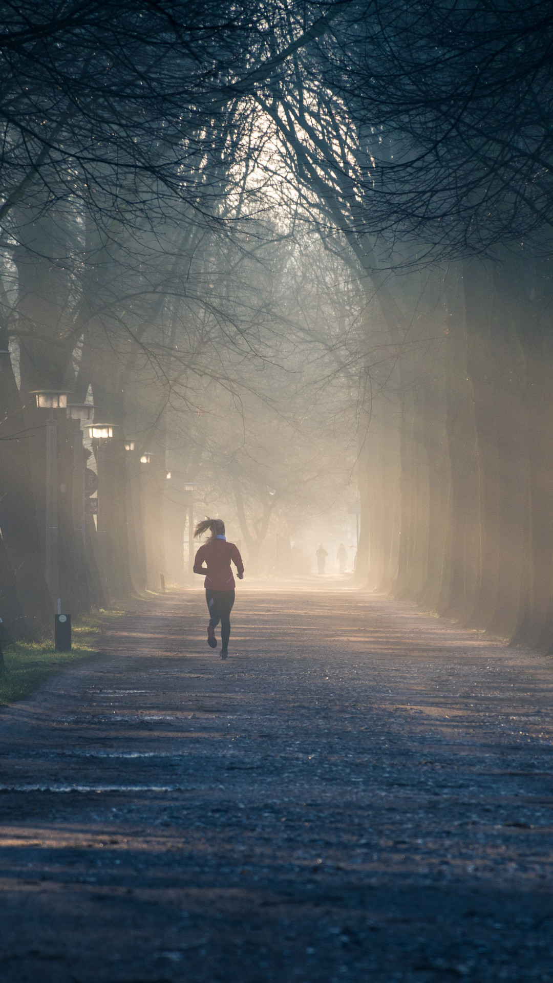 Running Near Street Between Tall Trees