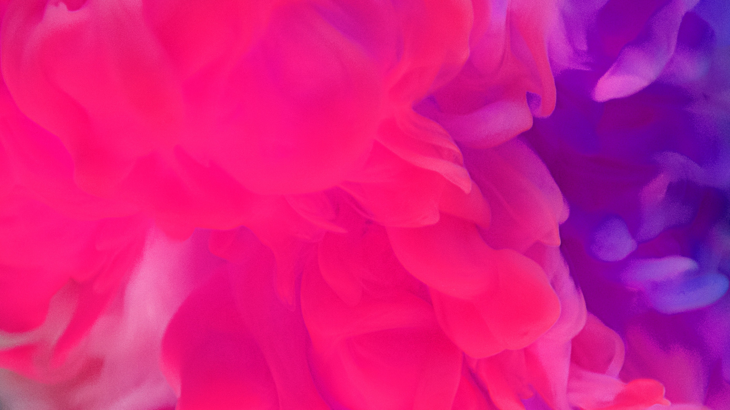 Red and Purple Smoke 