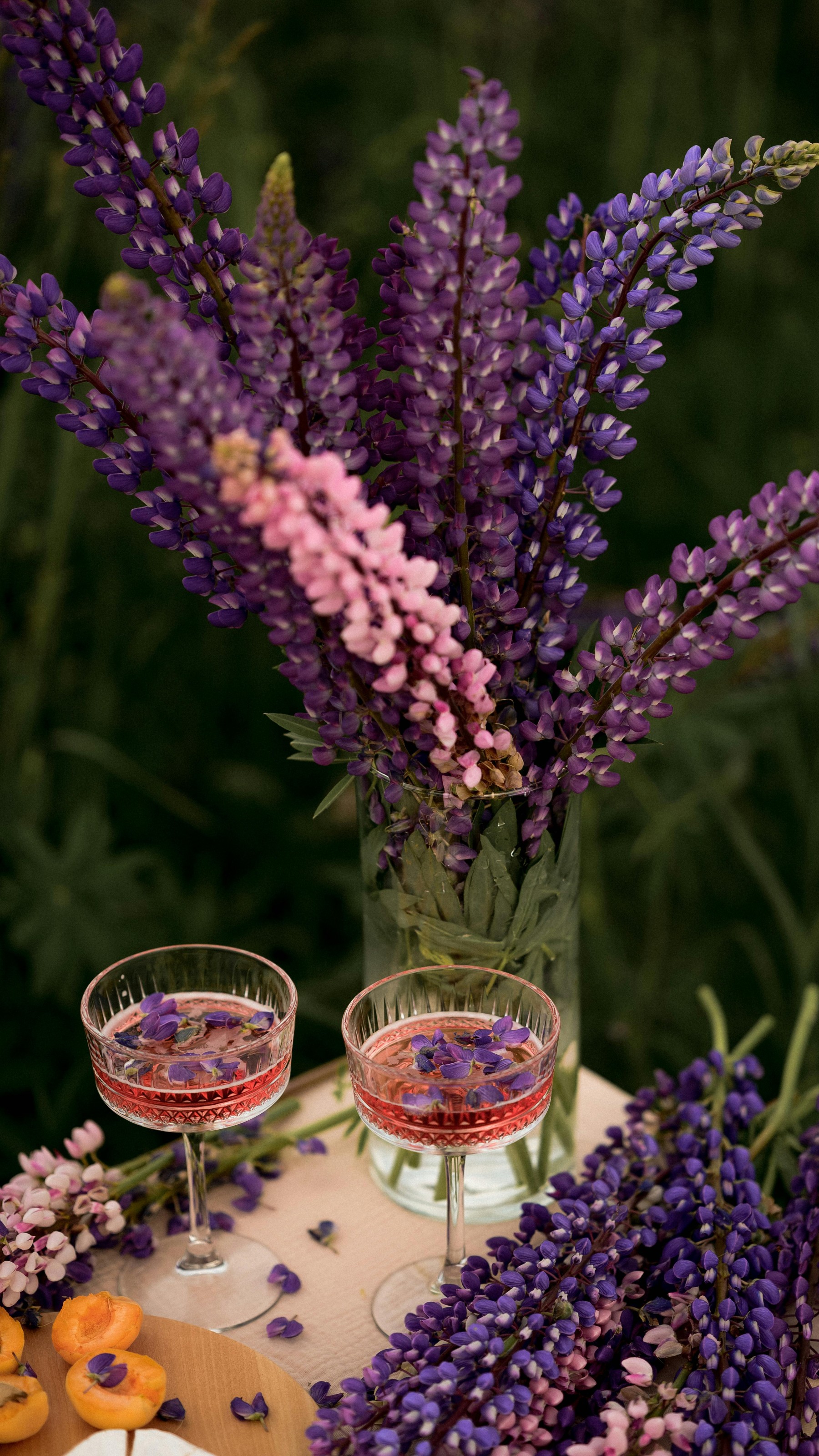 Purple Garden Lupin Flowers in Vase and Glasses of Drink