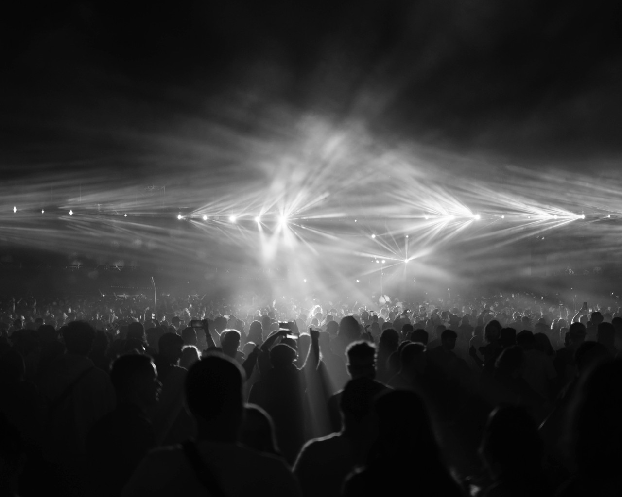 People at a Concert