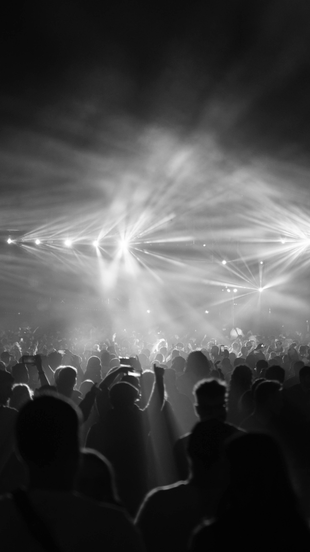 People at a Concert