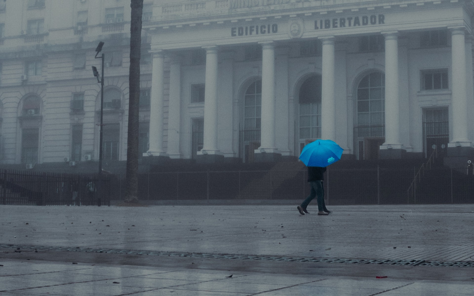 Blue Umbrella
