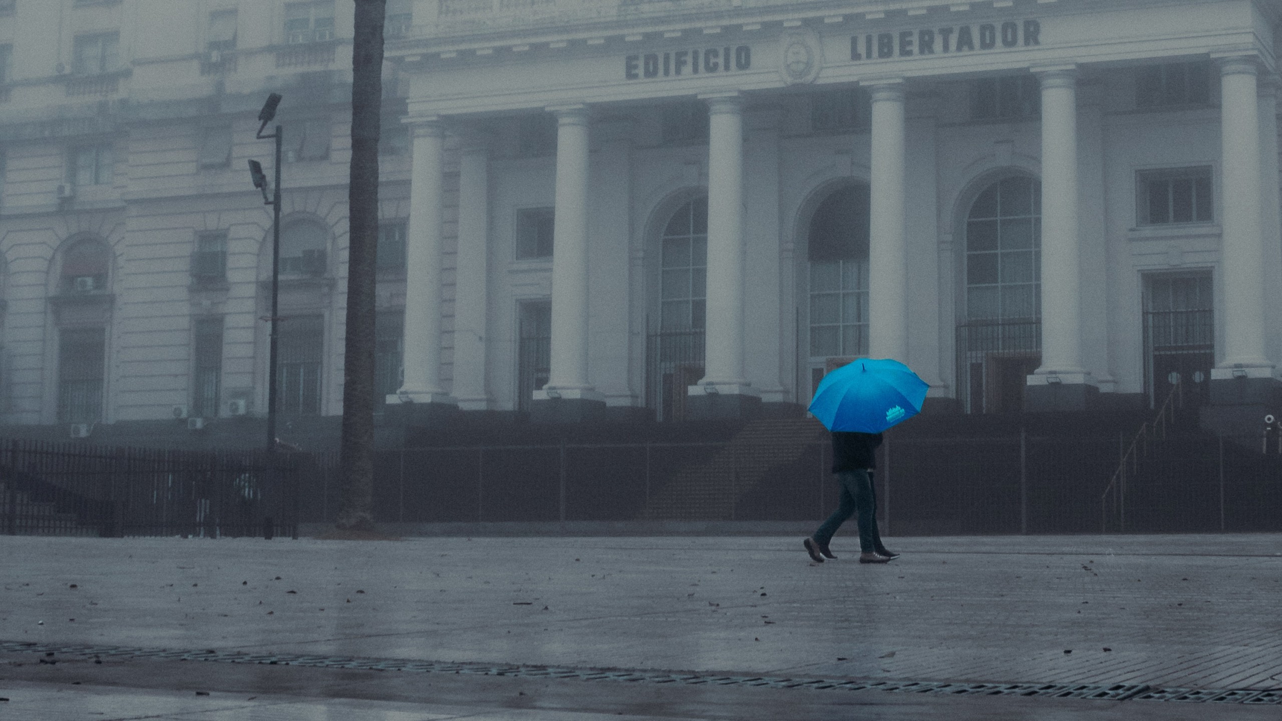 Blue Umbrella