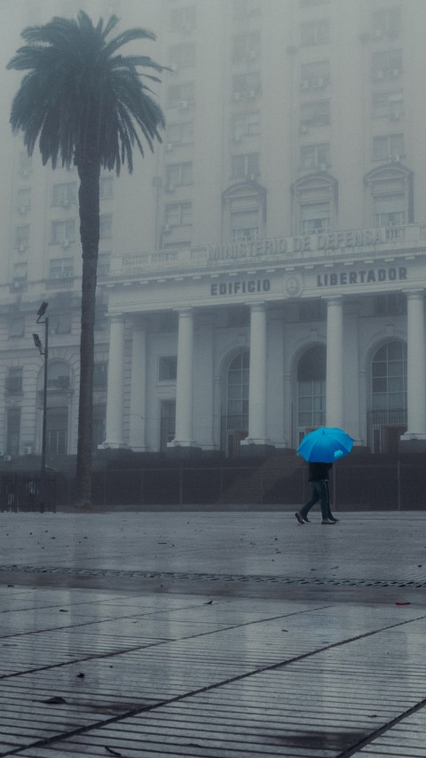 Blue Umbrella