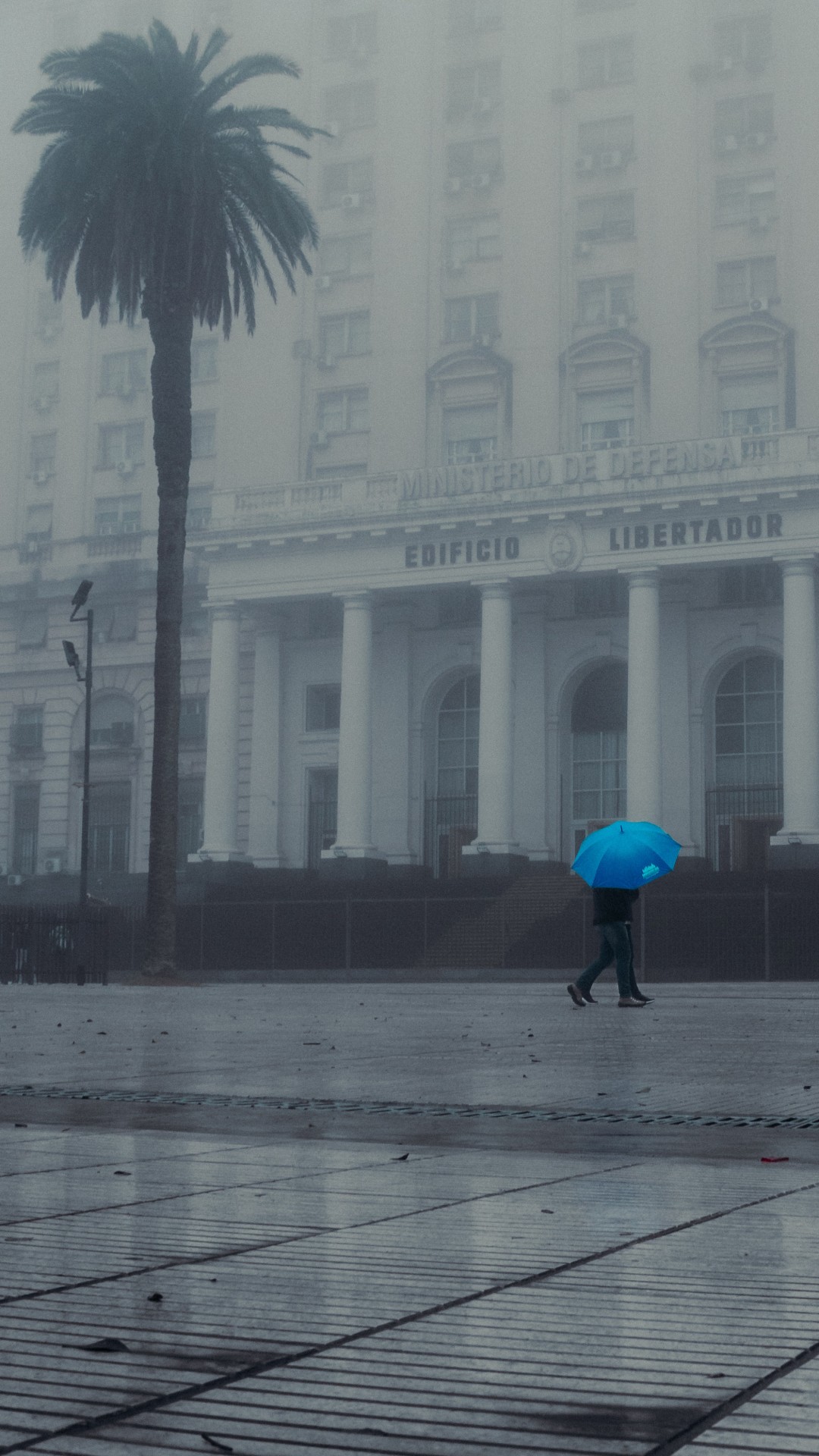 Blue Umbrella